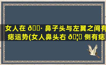 女人在 🌷 鼻子头与左翼之间有痣运势(女人鼻头右 🦋 侧有痣代表什么意思)
